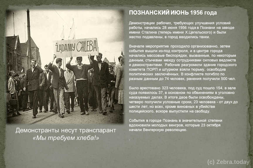 kairat 11