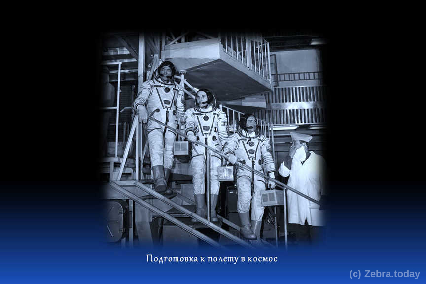 toktar 9