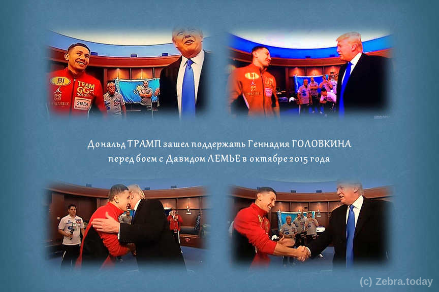 golovkin 7