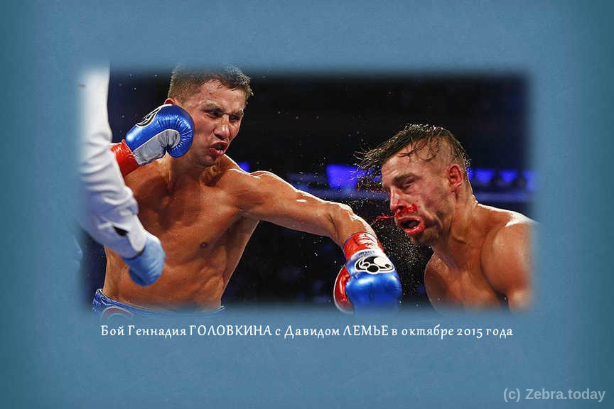 golovkin 8