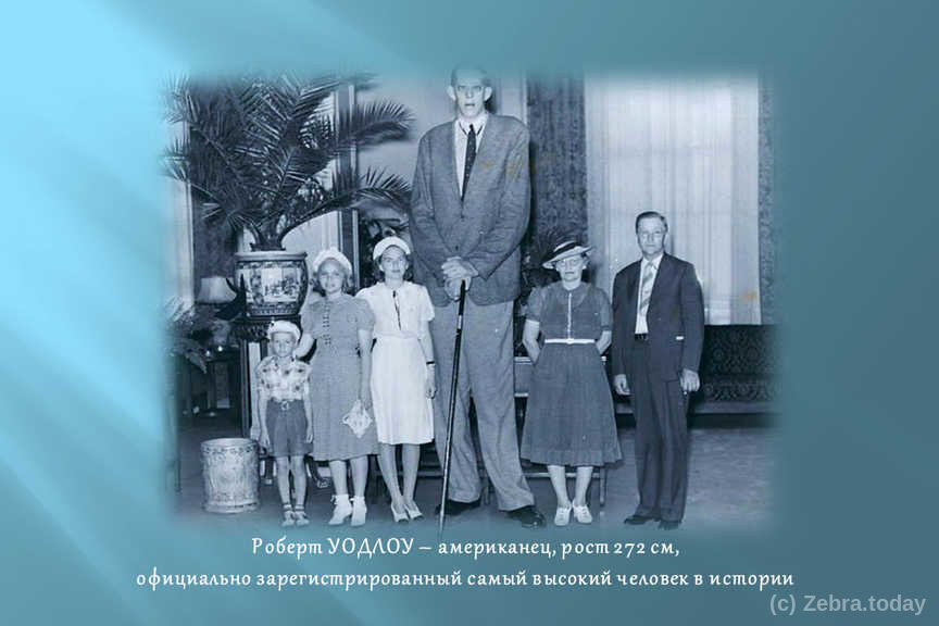 velikan 20