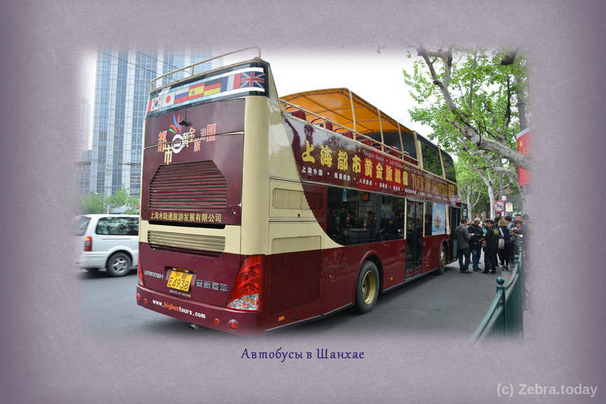 bus shangai 1