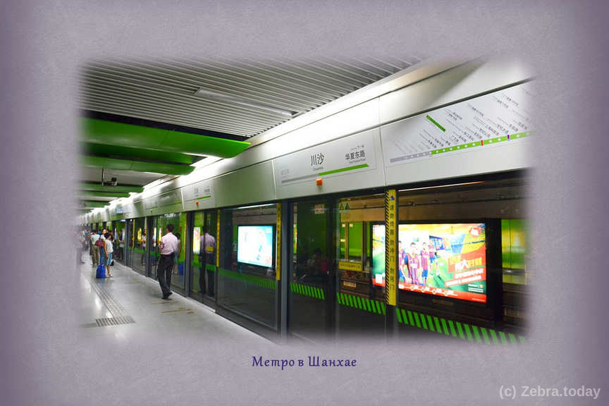 bus shangai 6