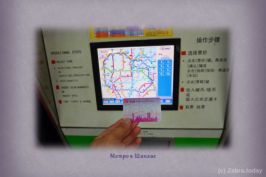 bus shangai 8