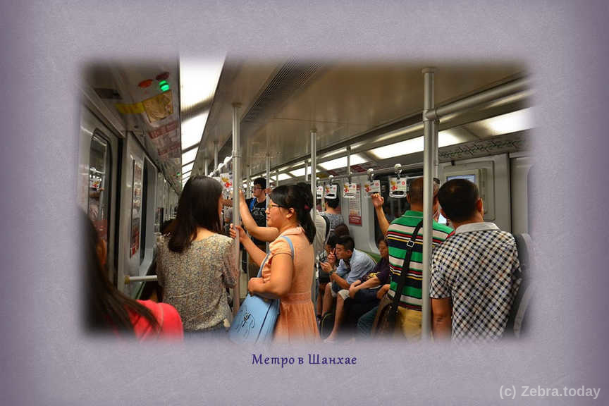 bus shangai 9